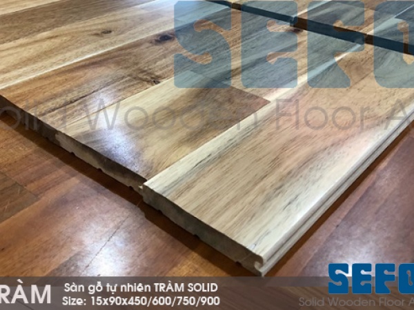 Sàn gỗ tràm 750mm x 90mm x 15mm