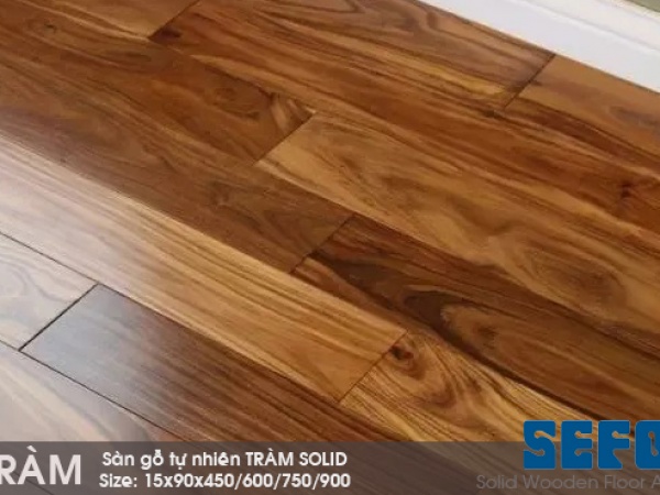 Sàn gỗ tràm 900mm x 90mm x 15mm